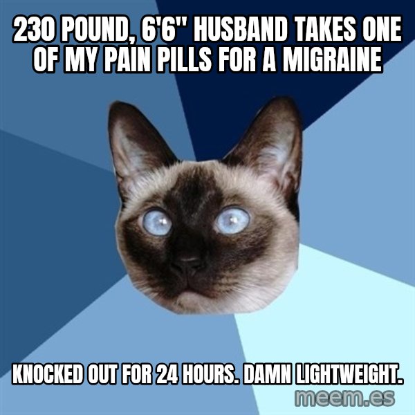 Chronic Illness Cat meme: 230 pound, 6'6" husband takes one of my pain pills for a migraine / knocked out for 24 hours. damn lightweight.