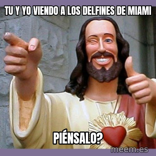buddy jesus meme: TU Y YO VIENDO A LOS DELFINES DE MIAMI / PIÉNSALO?
