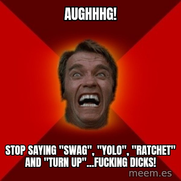Angry Arnold meme: AUGHHHG! / Stop saying "swag", "YOLO", "Ratchet" and "Turn up"...Fucking dicks!