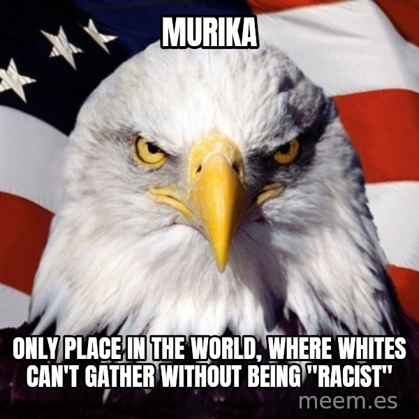 American Pride Eagle meme: murika / only place in the world, where whites can't gather without being "racist"
