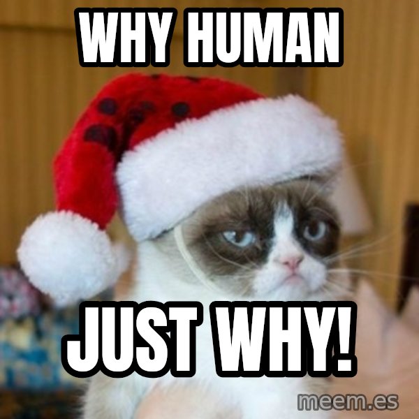 Grumpy Cat Santa Hat meme: Why human / JUST WHY!