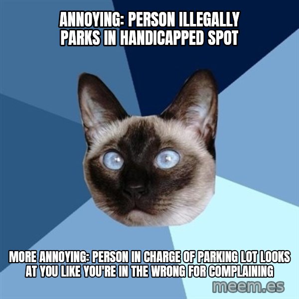 Chronic Illness Cat meme: Annoying: person illegally parks in handicapped spot / More annoying: person in charge of parking lot looks at you like you're in the wrong  for complaining