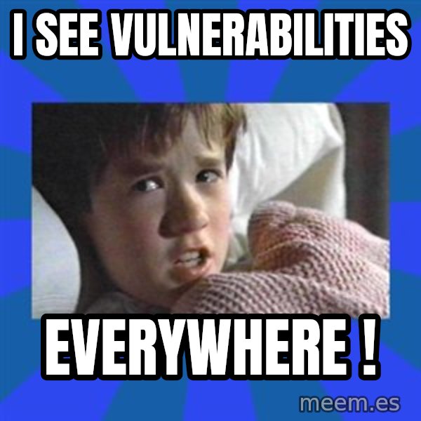 i see dead people meme: I see vulnerabilities / EVERYWHERE  !