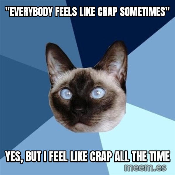 Chronic Illness Cat meme: "Everybody feels like crap sometimes" / Yes, but I feel like crap all the time