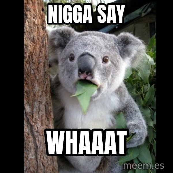 Koala can't believe it meme: nigga say / whaaat
