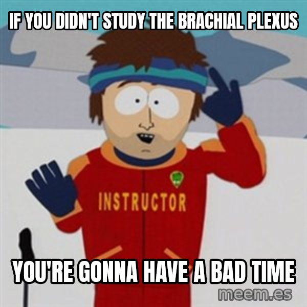 SouthPark Bad Time meme meme: If you didn't study the Brachial Plexus / You're gonna have a bad time