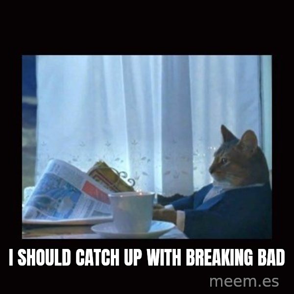 i should buy a boat cat meme: I should catch up with Breaking Bad