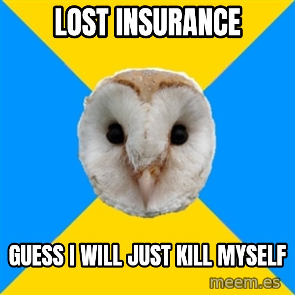 Bipolar Owl meme: Lost Insurance / Guess I will just kill myself