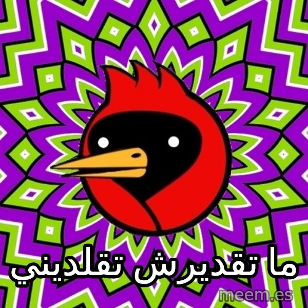 Omsk Crow meme: ما تقديرش تقلديني