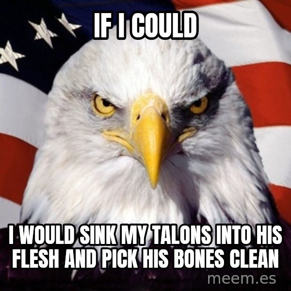 American Pride Eagle meme: if i could / i would sink my talons into his flesh and pick his bones clean