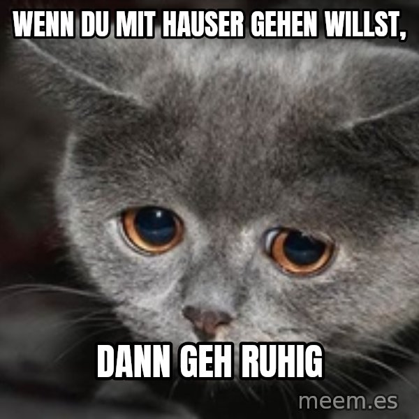 Sadcat meme: Wenn du mit Hauser gehen willst, / dann geh ruhig