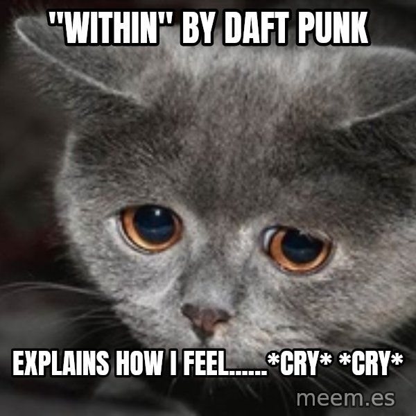 Sadcat meme: "Within" By daft punk / explains how i feel......*cry* *cry*