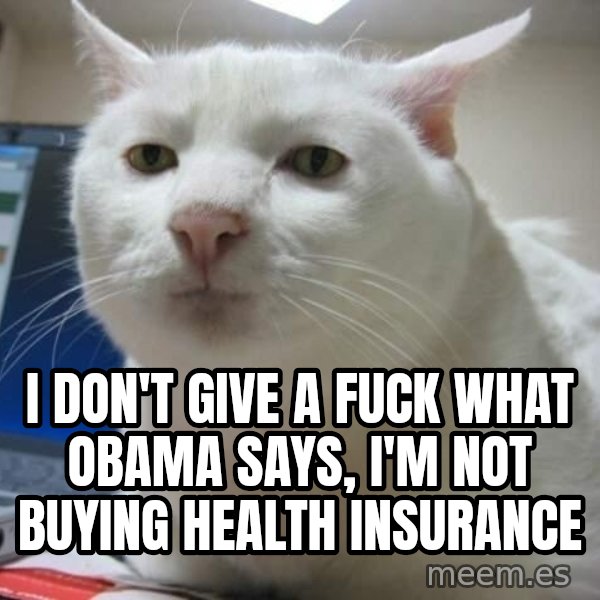 Serious Cat meme: i don't give a fuck what obama says, i'm not buying health insurance