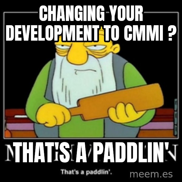 Thats a paddlin meme: changing your development to cmmi ? / That's a paddlin'