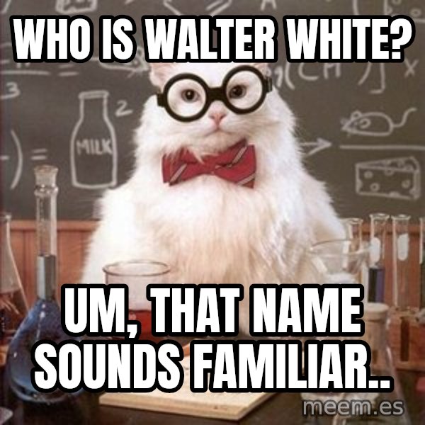 Chemistry Cat meme: Who is Walter White? / Um, that name sounds familiar..