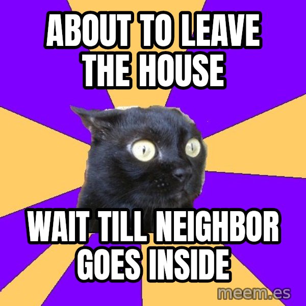 Anxiety Cat meme: about to leave the house / wait till neighbor goes inside