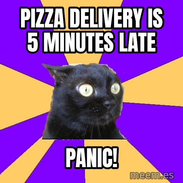 Anxiety Cat meme: pizza delivery is 5 minutes late / panic!