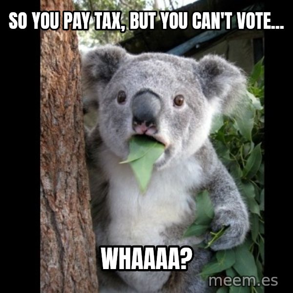 Koala can't believe it meme: so you pay tax, but you can't vote... / Whaaaa?