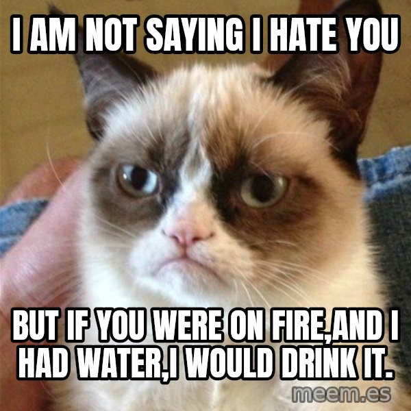Grumpy Cat  meme: i am not saying i hate you / but if you were on fire,and i had water,i would drink it.