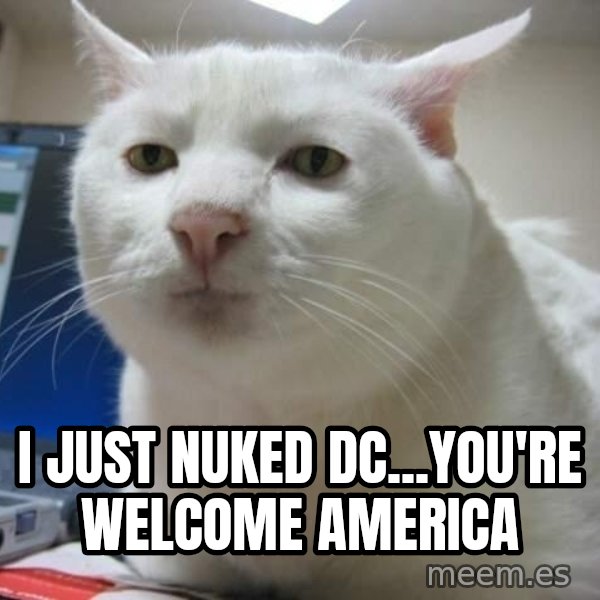 Serious Cat meme: i just nuked dc...you're welcome america