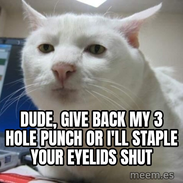 Serious Cat meme: dude, give back my 3 hole punch or i'll staple your eyelids shut