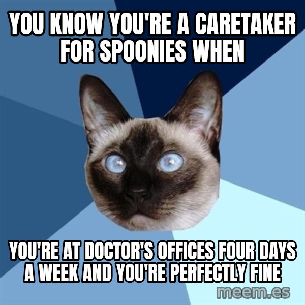 Chronic Illness Cat meme: You know you're a caretaker for spoonies when / you're at doctor's offices four days a week and you're perfectly fine