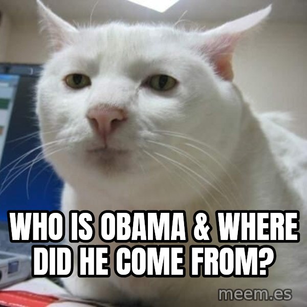 Serious Cat meme: who is obama & where did he come from?