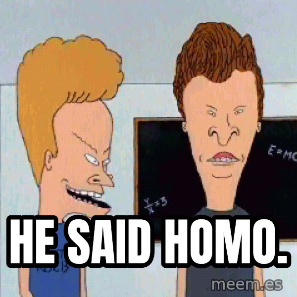 Beavis and butthead meme: He said homo.
