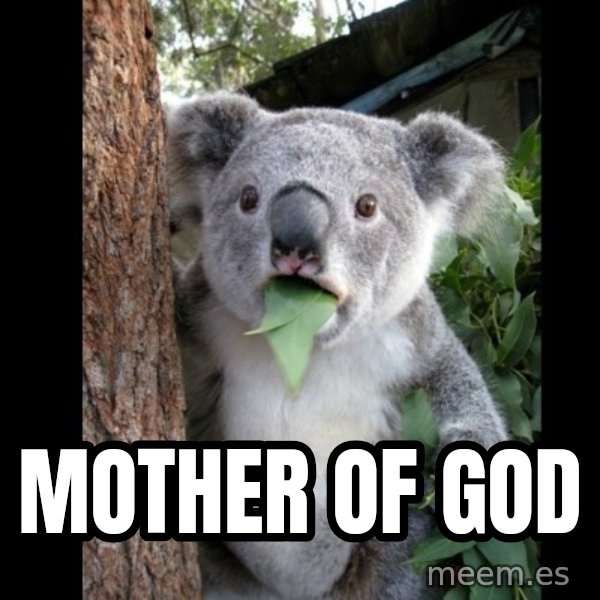 Koala can't believe it meme: Mother of god
