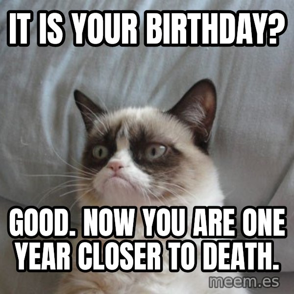 Grumpy cat good meme: It is your birthday? / good. now you are one year closer to death.