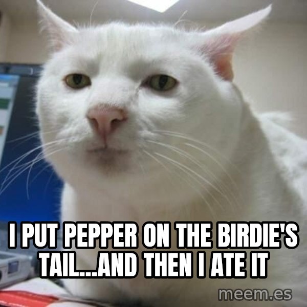 Serious Cat meme: i put pepper on the birdie's tail...and then i ate it