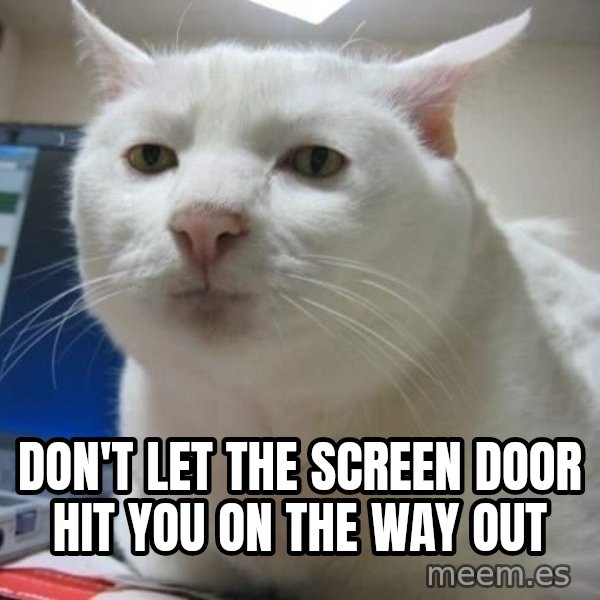Serious Cat meme: don't let the screen door hit you on the way out