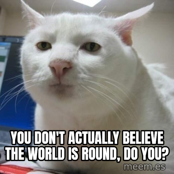 Serious Cat meme: you don't actually believe the world is round, do you?