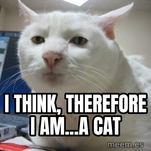 Serious Cat meme: i think, therefore i am...a cat