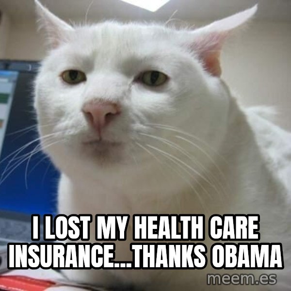 Serious Cat meme: i lost my health care insurance...thanks obama