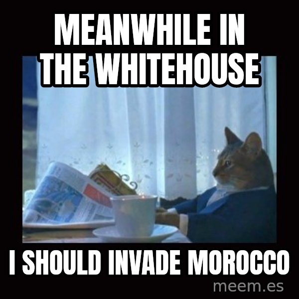 i should buy a boat cat meme: Meanwhile in the whitehouse / I should invade Morocco