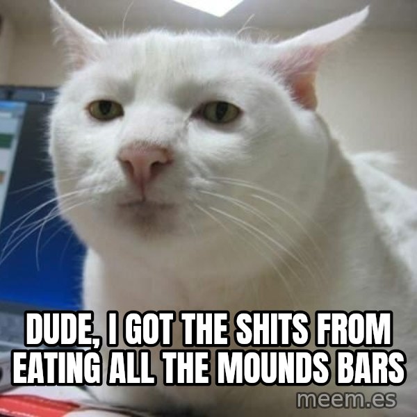 Serious Cat meme: dude, i got the shits from eating all the mounds bars
