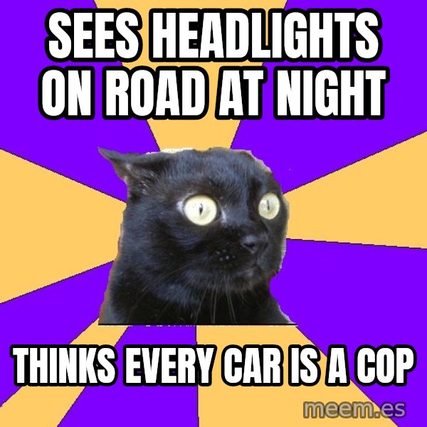 Anxiety Cat meme: Sees headlights on road at night / thinks every car is a cop