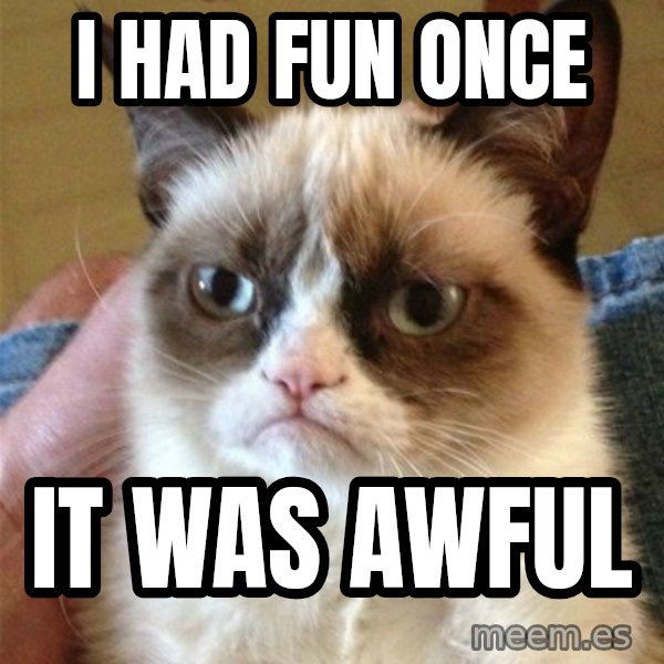 Grumpy Cat  meme: I had fun once / It was awful