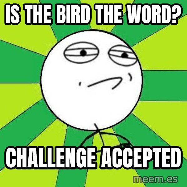 Challenge Accepted 2 meme: Is the bird the word? / challenge accepted