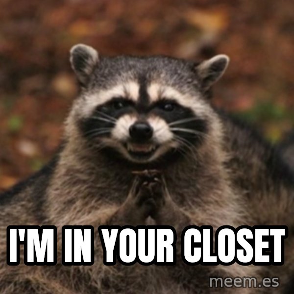 evil raccoon meme: i'm in your closet
