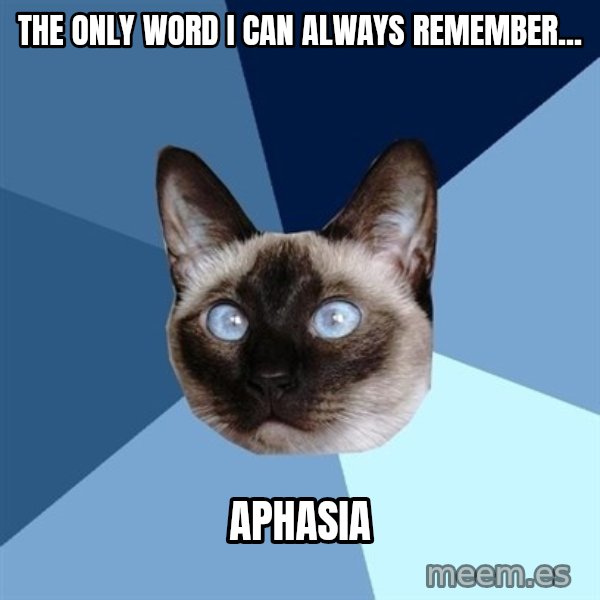 Chronic Illness Cat meme: the only word I can always remember... / aphasia