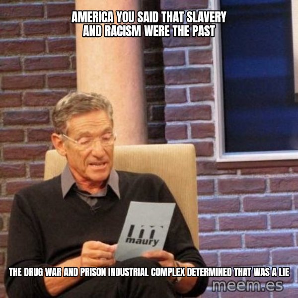 Maury Lie Detector meme: america you said that slavery and racism were the past / the drug war and prison industrial complex determined that was a lie