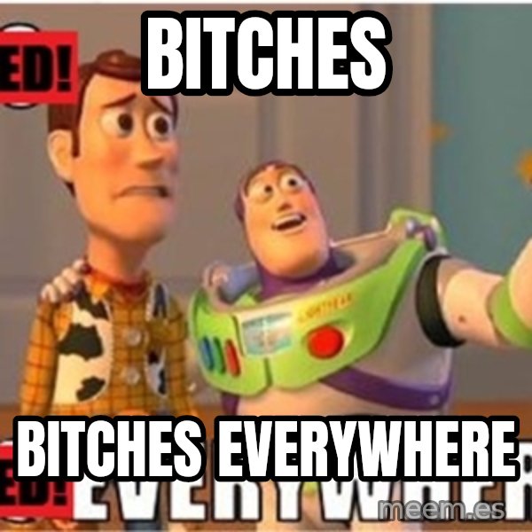 X, X Everywhere  meme: BITCHES / BITCHES EVERYWHERE