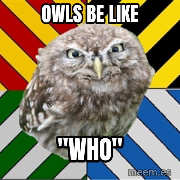JEALOUS POTTEROMAN meme: Owls be like / "Who"