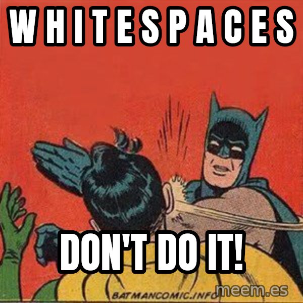 batman slap robin meme: W H I T E S P A C E S / DON'T DO IT!