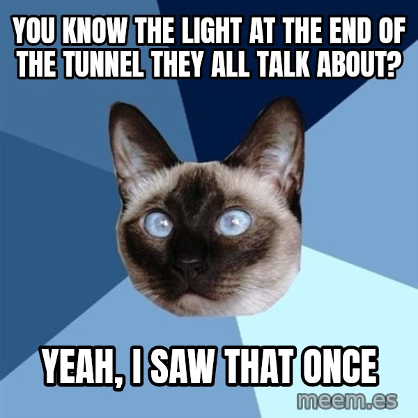Chronic Illness Cat meme: you know the light at the end of the tunnel they all talk about? / yeah, i saw that once