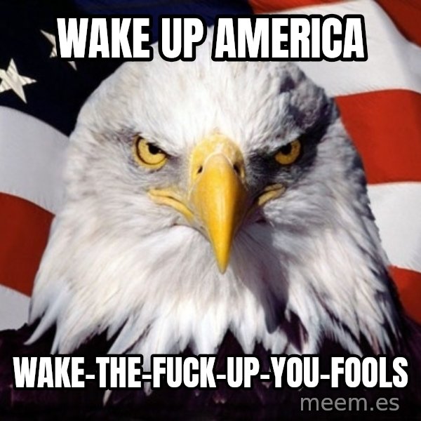 American Pride Eagle meme: wake up america / wake-the-fuck-up-you-fools