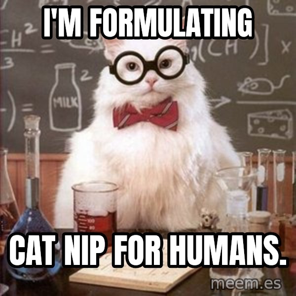 Chemistry Cat meme: i'm formulating / cat nip for humans.