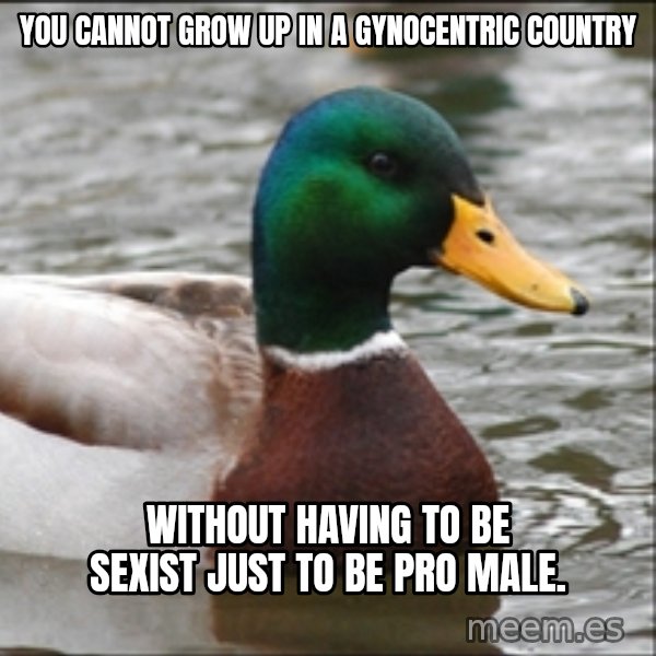 Actual Advice Mallard 1 meme: you cannot grow up in a gynocentric country / without having to be sexist just to be pro male.